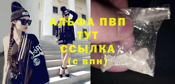 стаф Аркадак