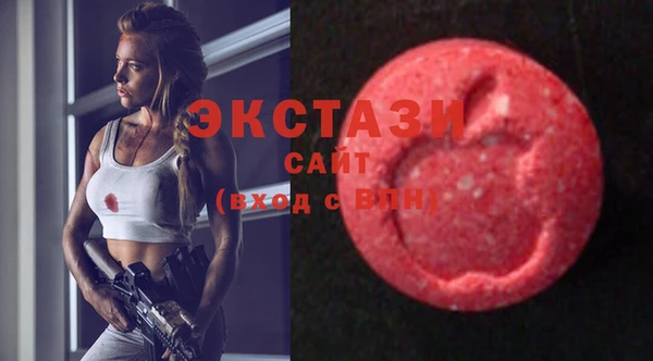 стаф Аркадак