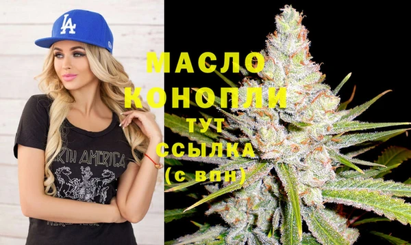 стаф Аркадак