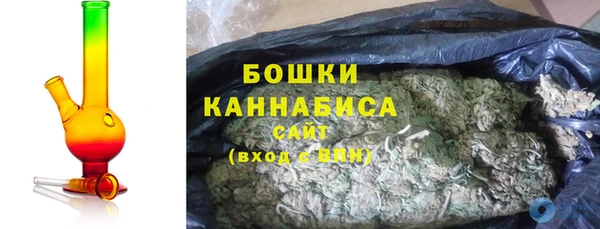 стаф Аркадак