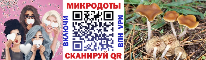 Псилоцибиновые грибы MAGIC MUSHROOMS Семикаракорск